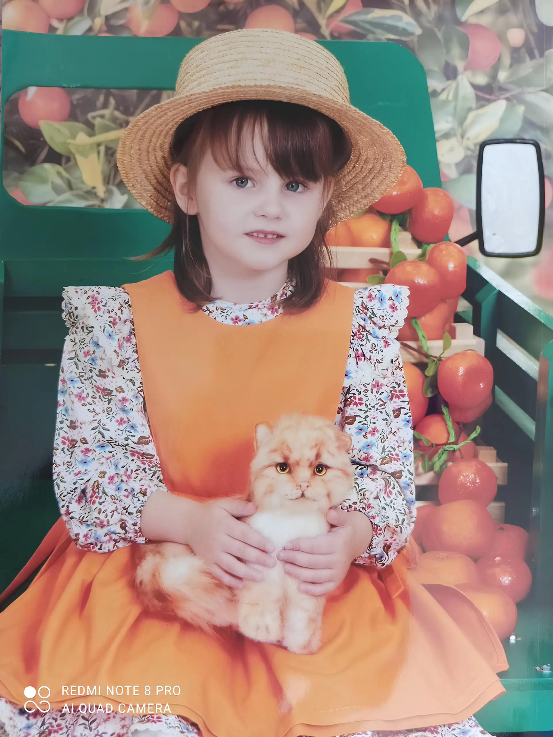 Смотреть фотографию